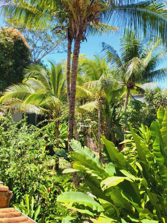 Pousada Velha Boipeba Empresa Acanhtica Boipeba Island Экстерьер фото